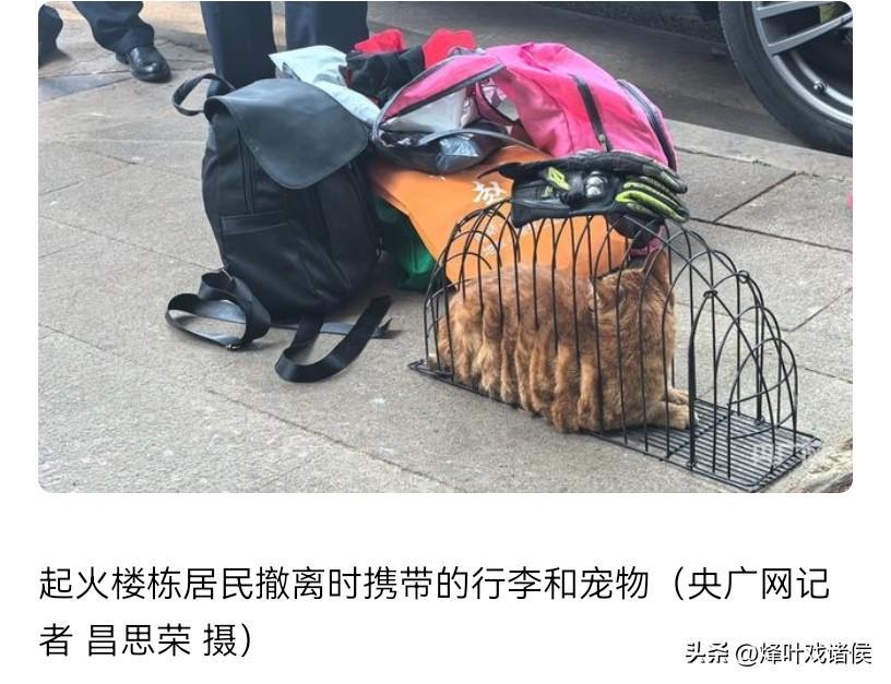 2025世界俱乐部杯-成都火灾5死2伤后续,多位知情人讲述真相,当晚的起火源头被公开